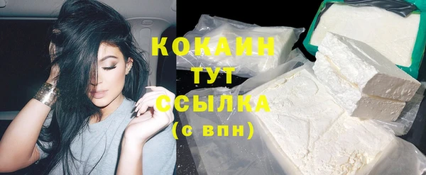 сатива Абаза