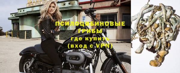сатива Абаза
